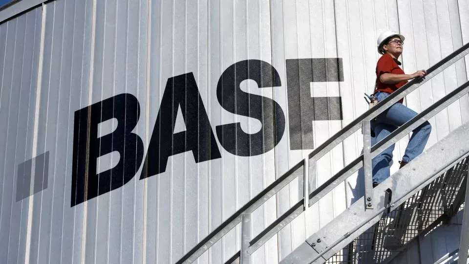 BASF - Conception Plan